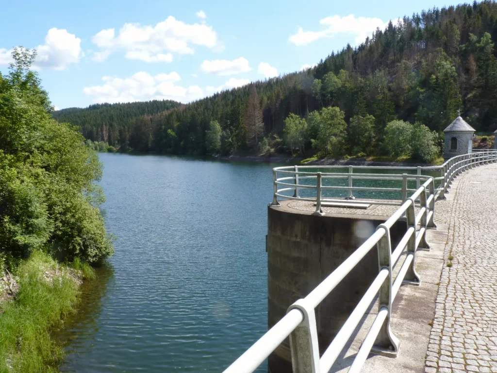 Blick über die Norhäuser Talsperre, Wasserfläche, darum Wald.