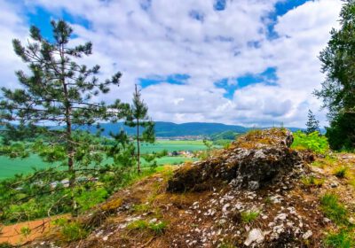 Blick vom felsigen Gipskarst des Mühlbergs bei Niedersachswerfen über ein grünes Tal. Im Vordergrund ein moosbewachsener Fels und junge Kiefern, in der Ferne bewaldete Harzberge unter einem wolkenreichen Himmel.