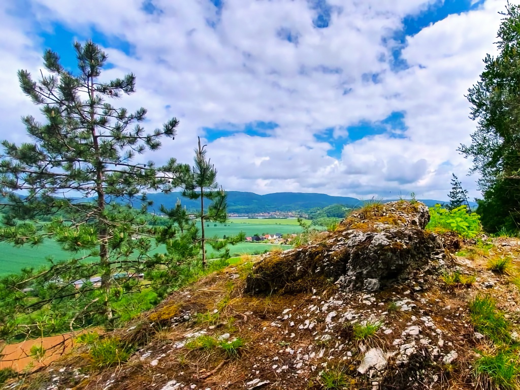 Blick vom felsigen Gipskarst des Mühlbergs bei Niedersachswerfen über ein grünes Tal. Im Vordergrund ein moosbewachsener Fels und junge Kiefern, in der Ferne bewaldete Harzberge unter einem wolkenreichen Himmel.