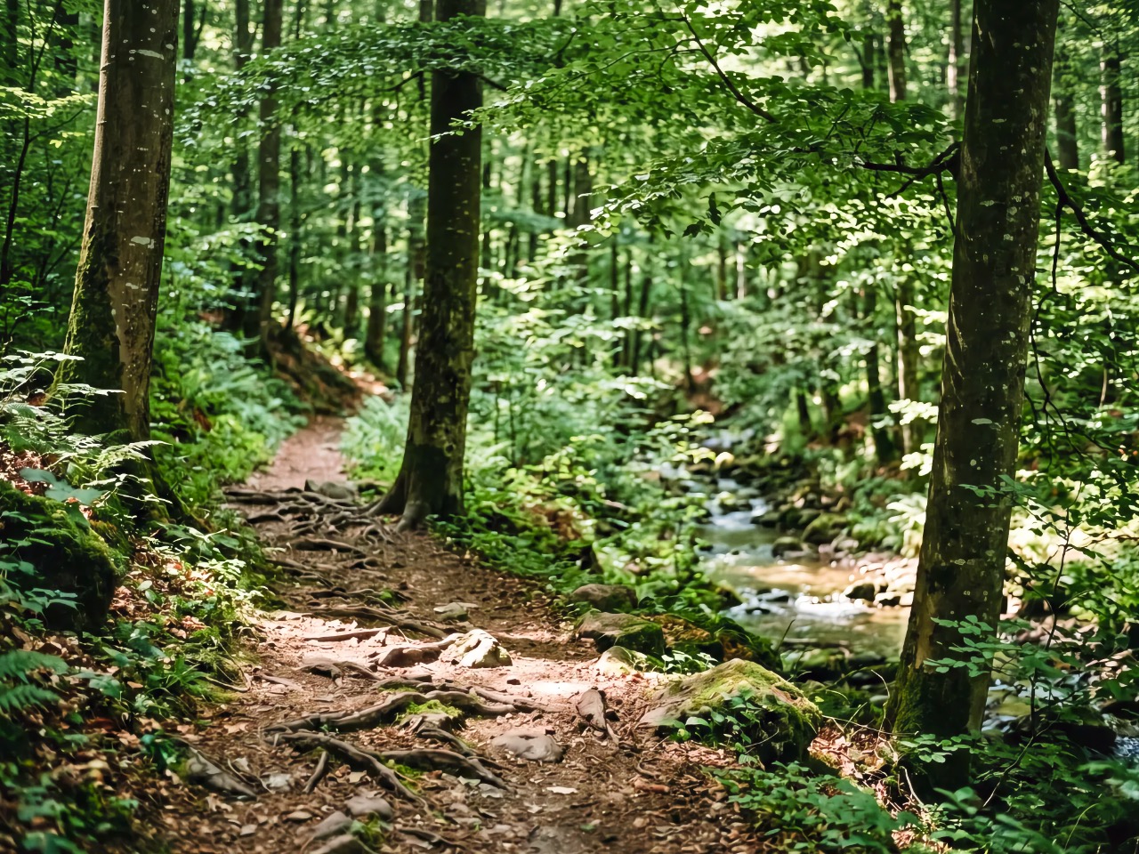 Wald, Wege, Wasser: Harztor ist dein grünes Ausflugsziel